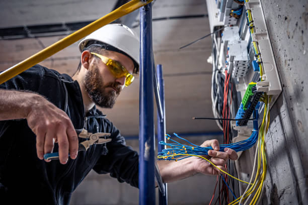 Best Licensed Electrician  in Wyoming, IL
