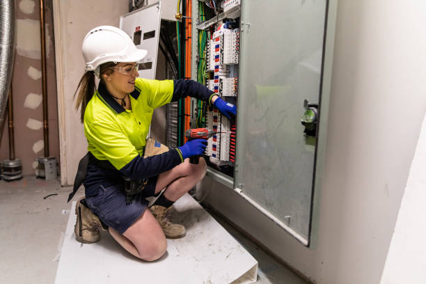 Best Electrical System Inspection  in Wyoming, IL