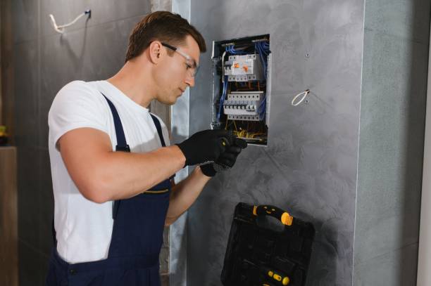 Best Home Electrical Repair  in Wyoming, IL