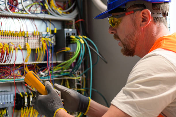 Best Electrical Repair Services  in Wyoming, IL