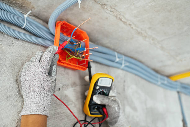 Best Ceiling Fan Installation Electrician  in Wyoming, IL